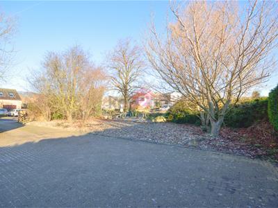Picture 24